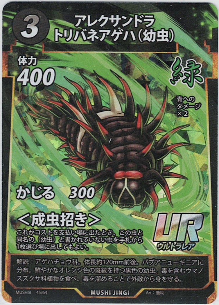 MUSHI8-045 UR アレクサンドラトリバネアゲハ（幼虫）